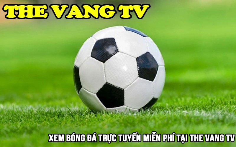 Câu hỏi về Thevang TV