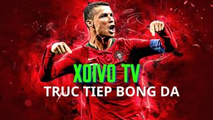 Tin tức tại Xoivo TV cập nhật đầy đủ, nhanh chóng